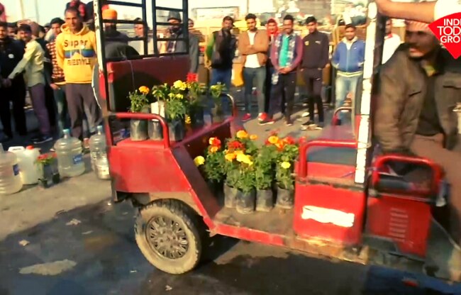 रोपने के लिए लाए गए फूलों के पौधे