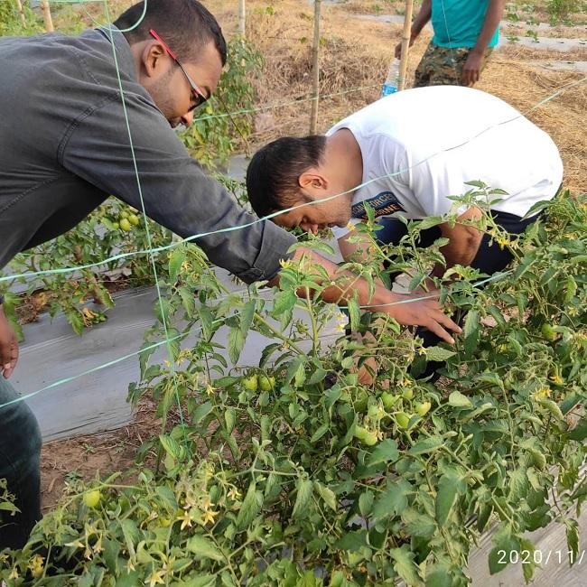 धोनी के फार्महाउस की सब्जी की मांग बढ़ी