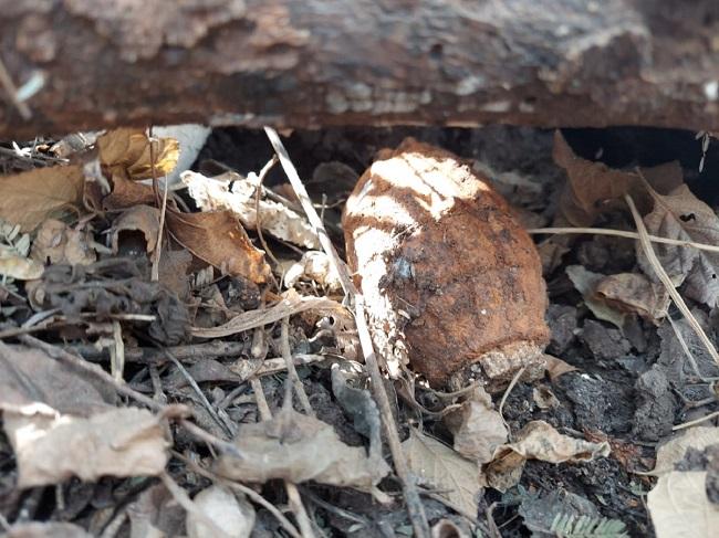 ग्रेनेड पर पड़ी एक सुरक्षाकर्मी की नजर