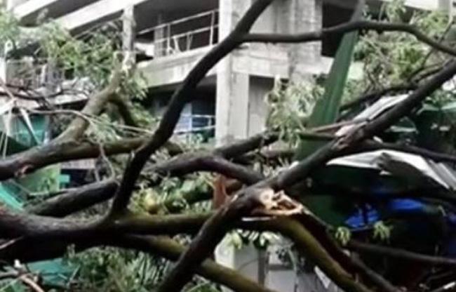 आलिया - रणबीर का बांद्रा स्थित नया घर (फोटो साभार योगेन शाह)