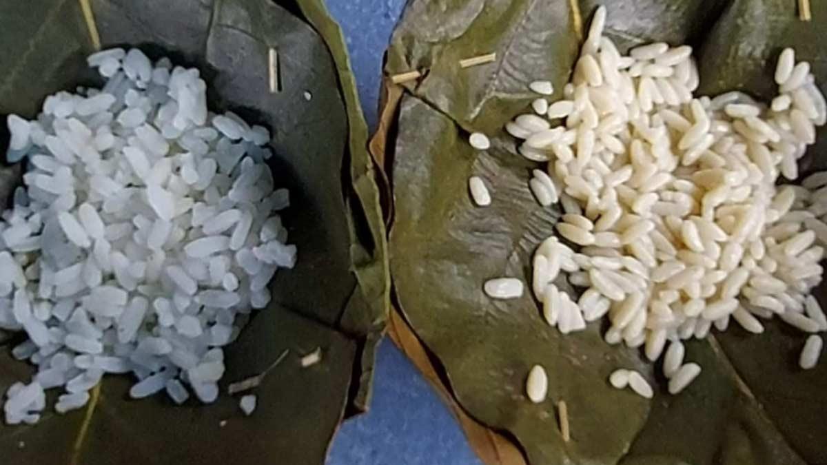 चावल में मिलावट वाले दाने