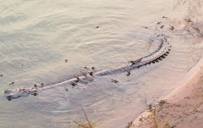 कई साल बाद दिखा ऐसा नजारा