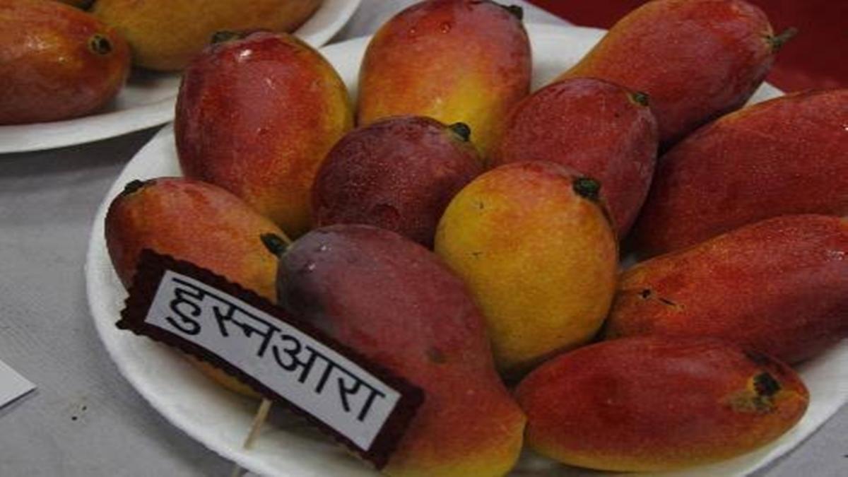 हुस्नआरा