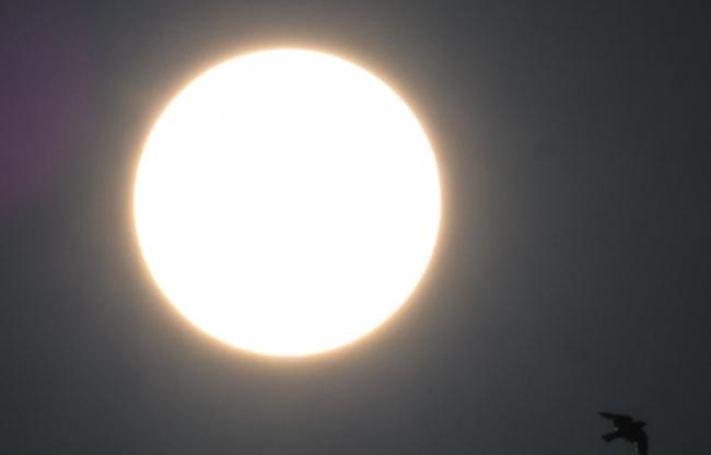 इंडोनेशिया में कुछ यूं दिखा नजारा