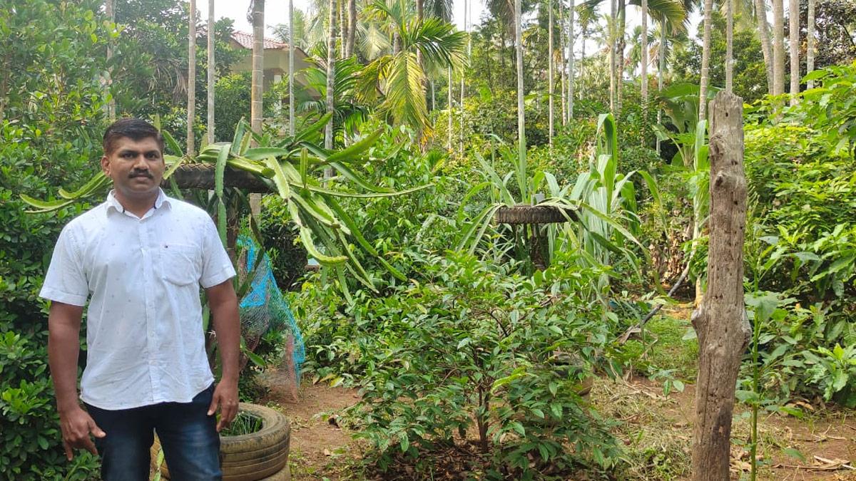 अब्दुल रशीद