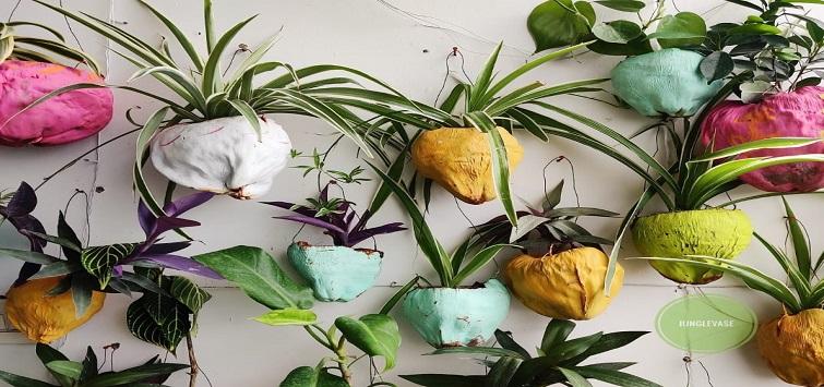 Image credit: Sakshi Bharadwaj