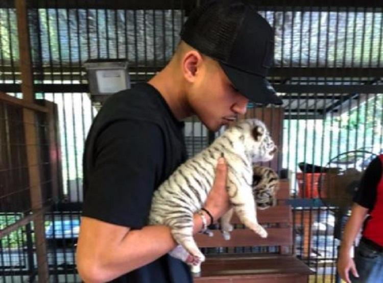 (Image: Faiq Jefri Bolkiah/Instagram)