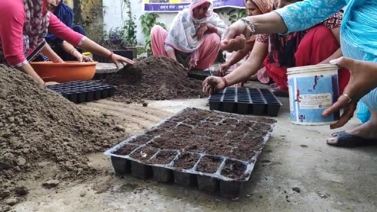 जैविक खेती की ट्रेनिंग दे रही महिला