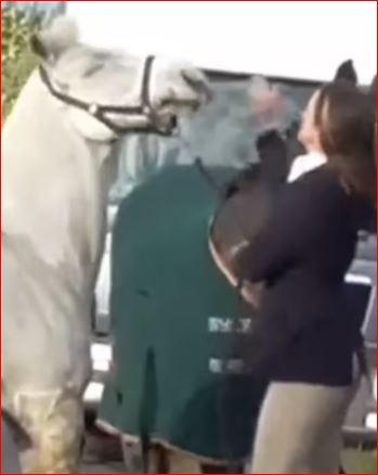 घोड़े को लात मारते हुए स्कूल टीचर का वीडियो हुआ वायरल.