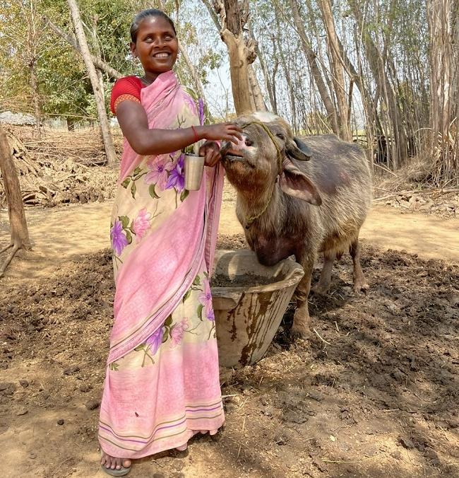 बृजवासी को दी गई भैंस