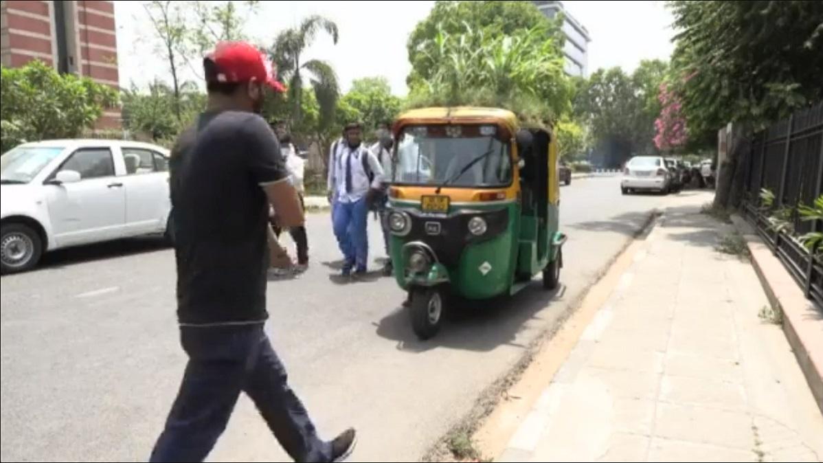 ऑटो की छत पर उगाया बगीचा