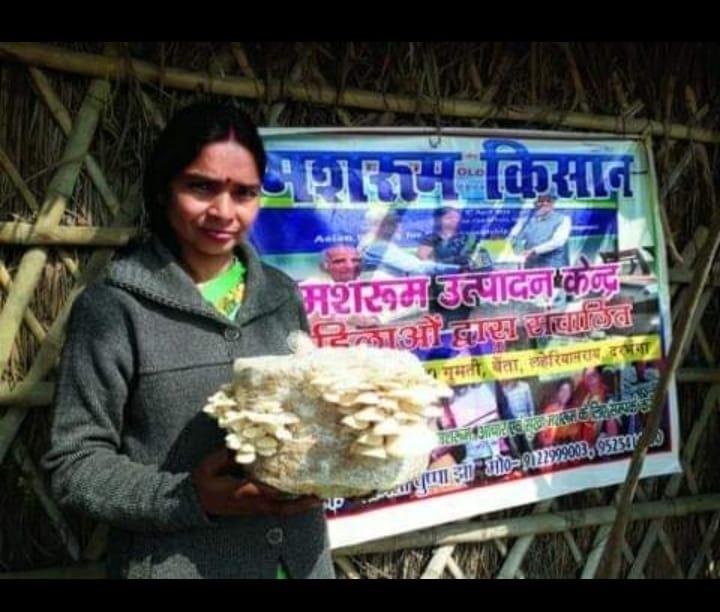 Mushroom Farmer Pushpa Jha