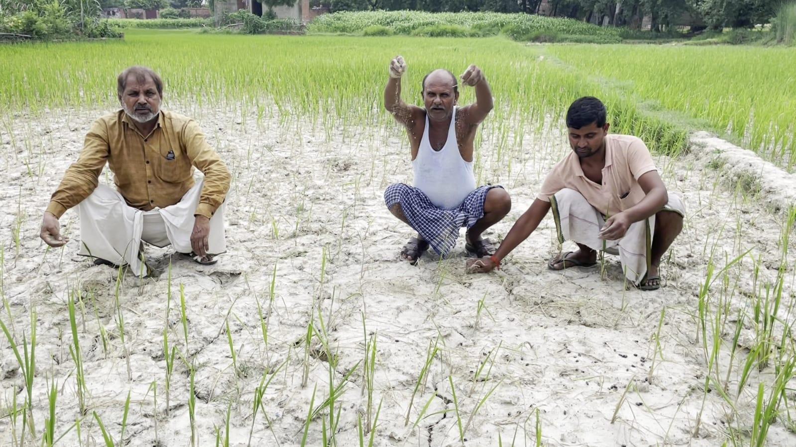 सूखे की मार झेल रहे किसान