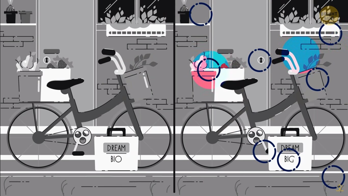 Can You Spot Differences