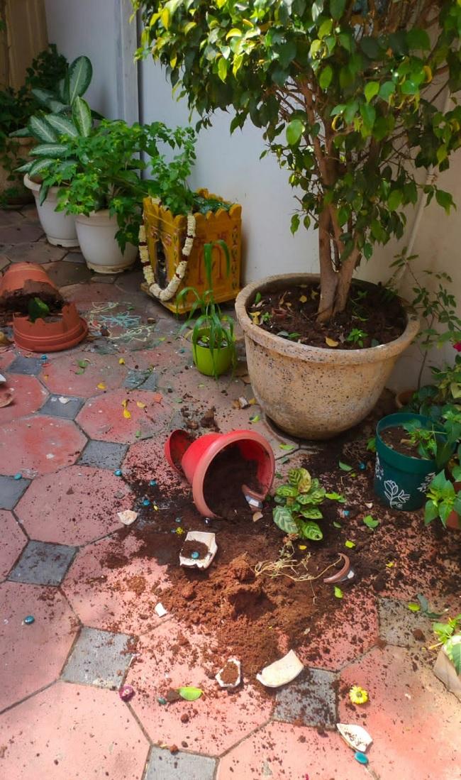 बीजेपी सांसद अरविंद धर्मपुरी के घर तोड़फोड़