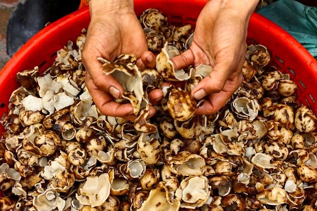 Shajkun Mushroom ( Pic credit: Getty)