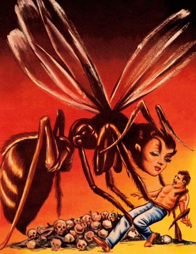 प्रतीकात्मक फोटो