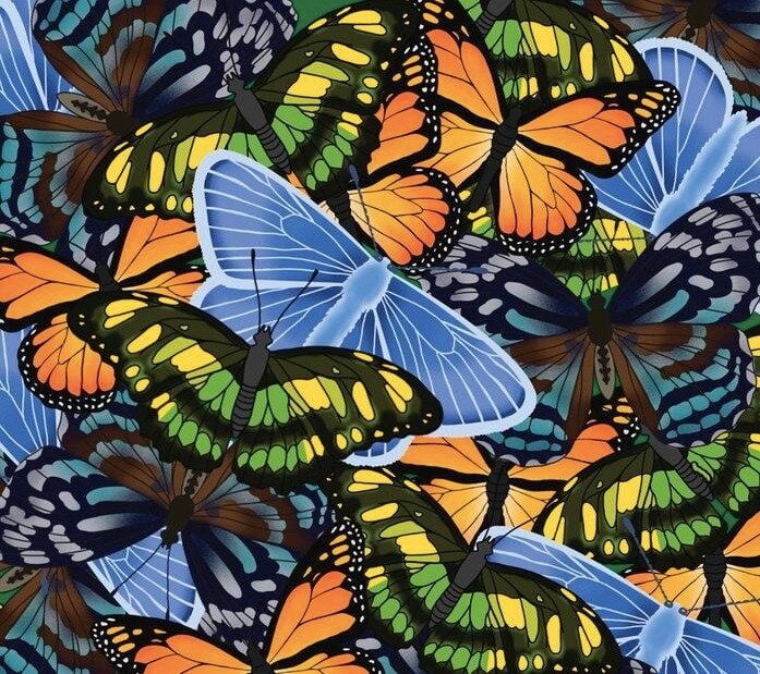 Optical Illusion Image