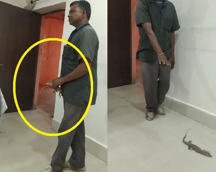 तोताराम के हाथ में जहरीला जीव.