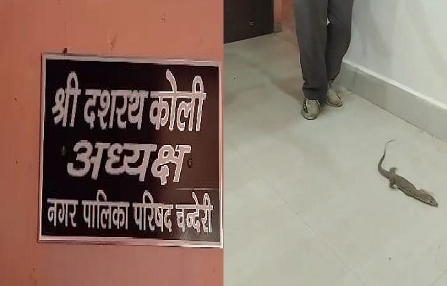 अधिकारियों के दफ्तर में छोड़ा जहरीला जीव.