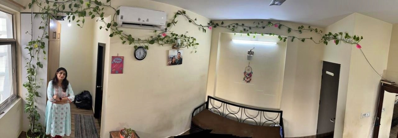 45 feet Tall Money Plant