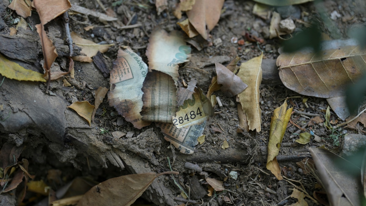 yashwant varma cash at home