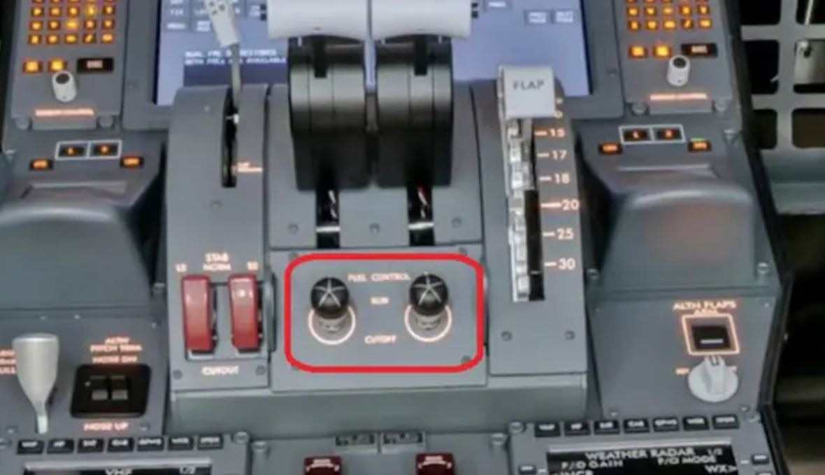 Boeing 787 Dreamliner cockpit (File photo)