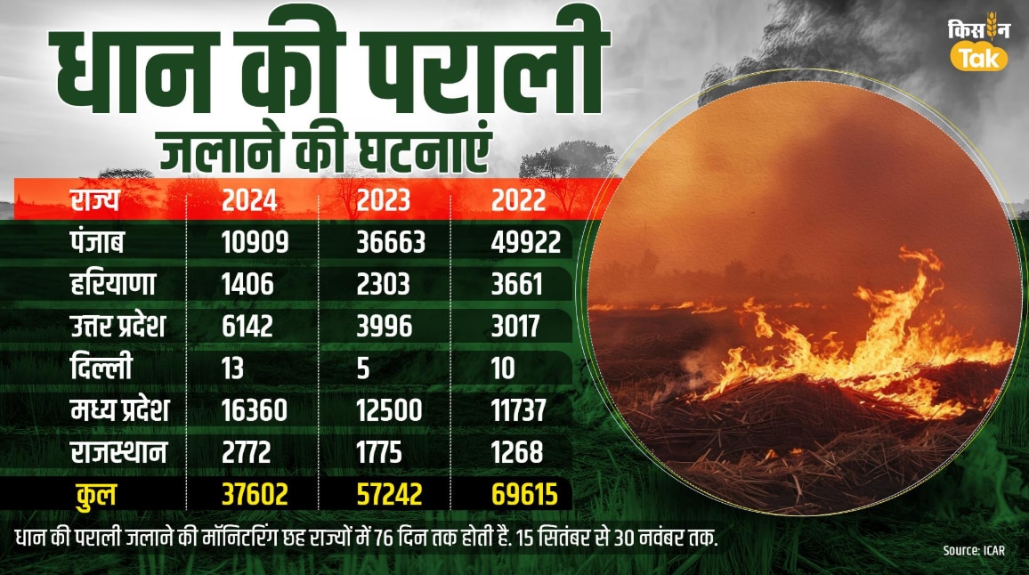 धान की पराली