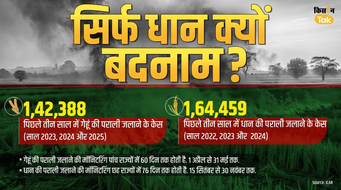 गेहूं की पराली