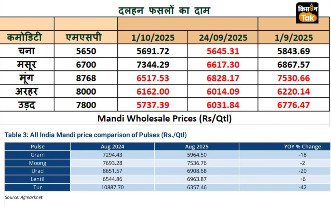 Mandi Wholesale Price