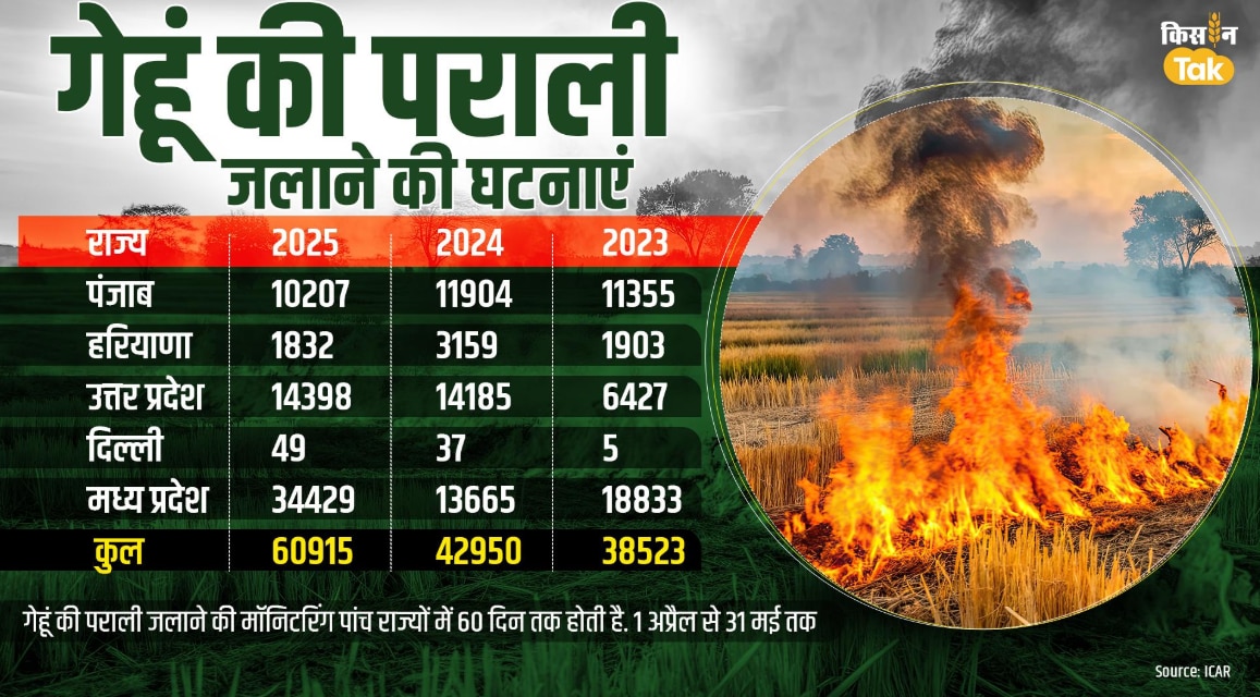 गेहूं की पराली