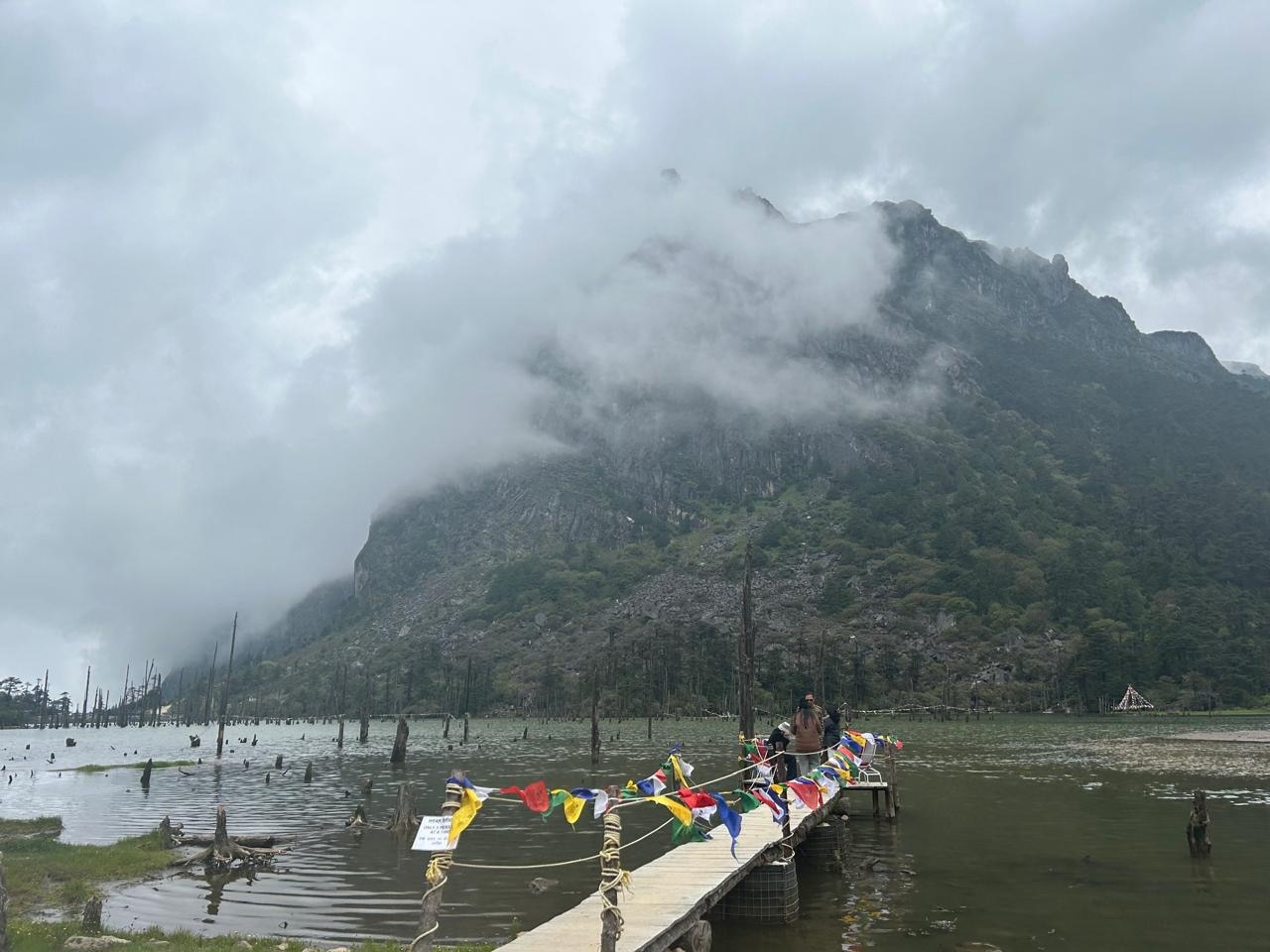 तवांग में बादलों से घिरी एक पहाड़ी (Photo: ITG)