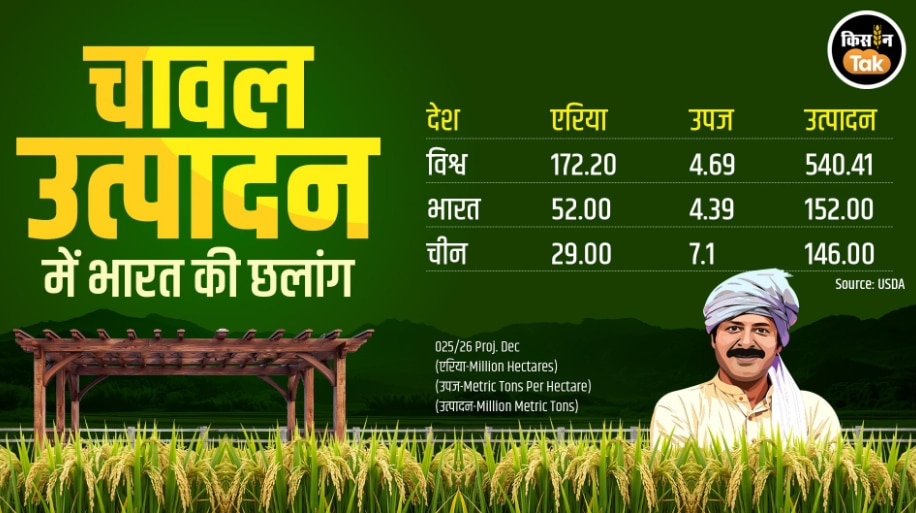 India rice production