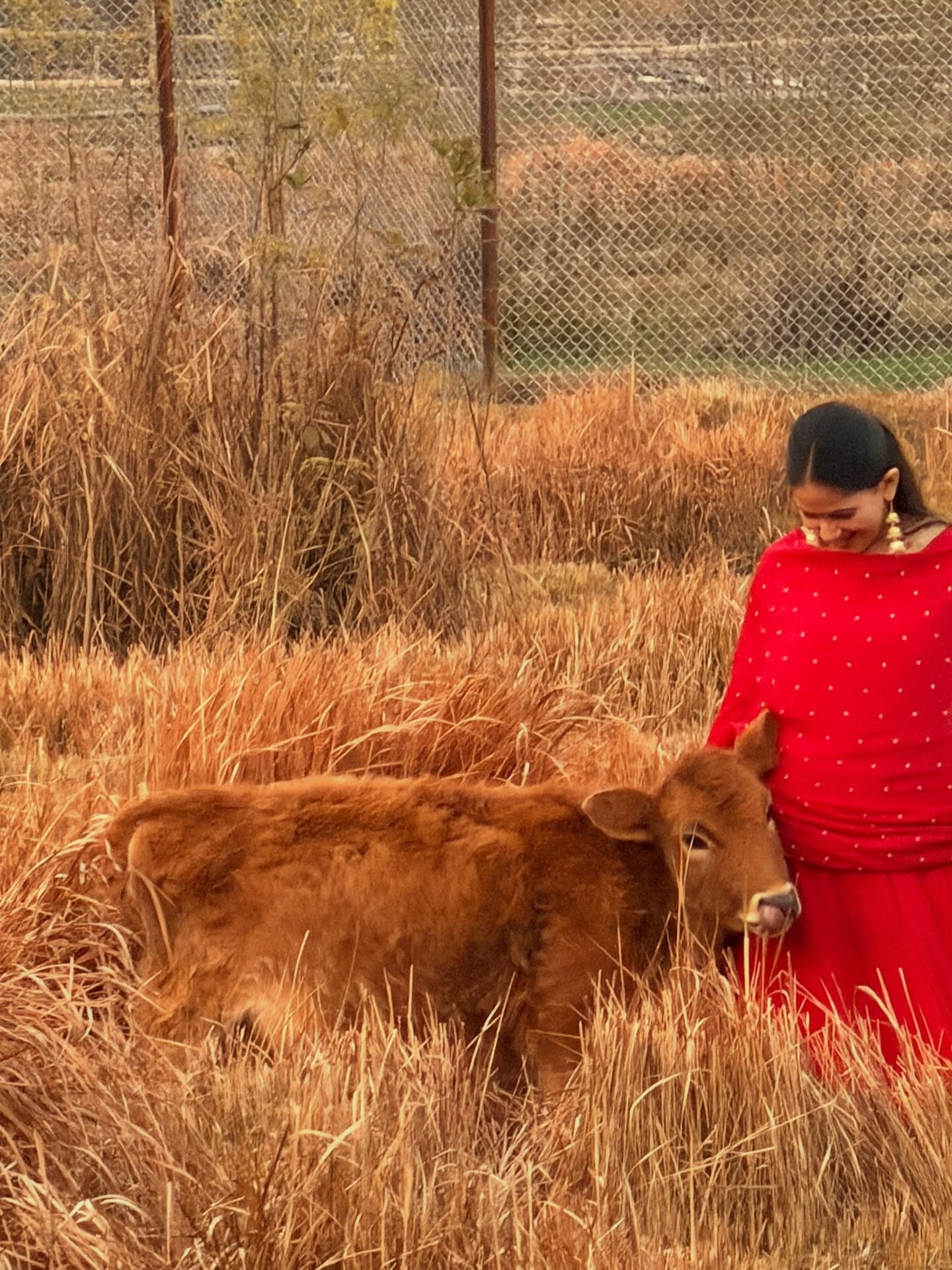बछड़े के साथ खेलतीं कथावाचक