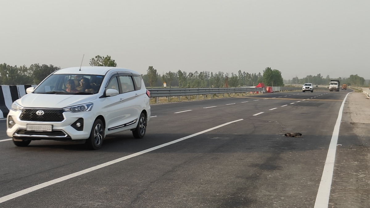 Animal Killed on Delhi Dehradun Expressway