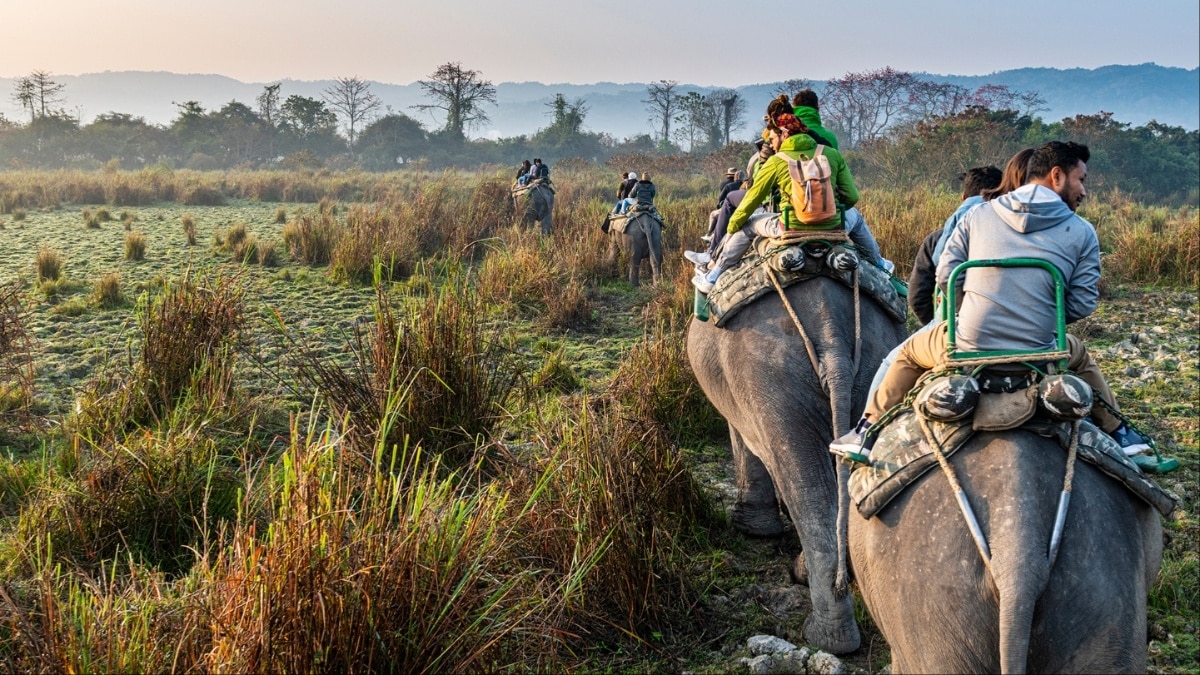 काजीरंगा नेशनल पार्क