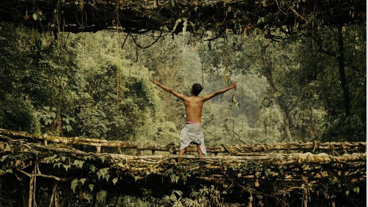 लिविंग रूट ब्रिज