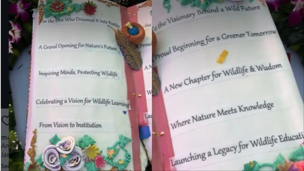 ​  अनंत का बर्थडे केक (PHOTO: Screengrab/instagram@manav.manglani)  ​