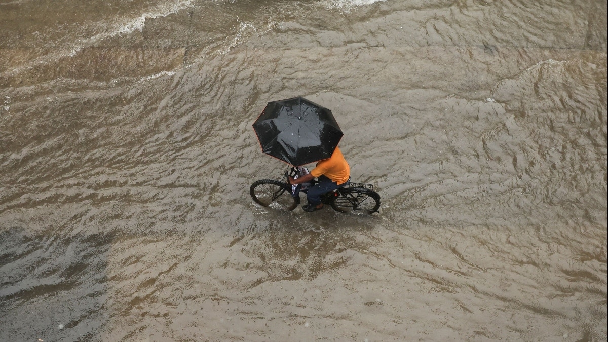 Rain