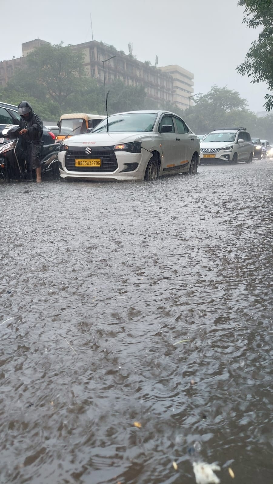 Rain