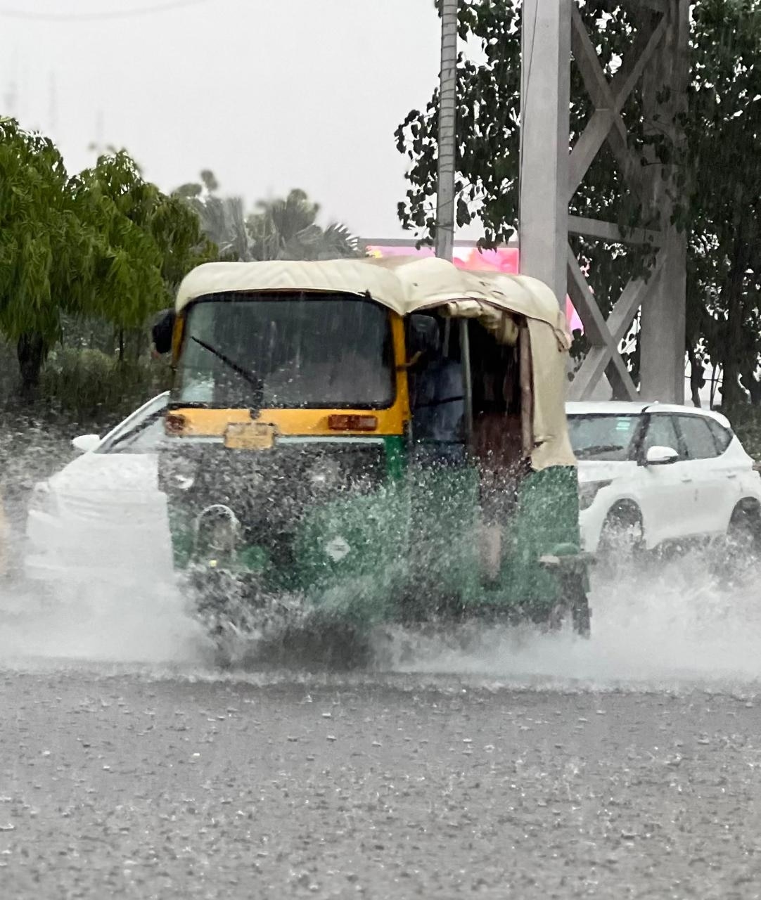 Rain