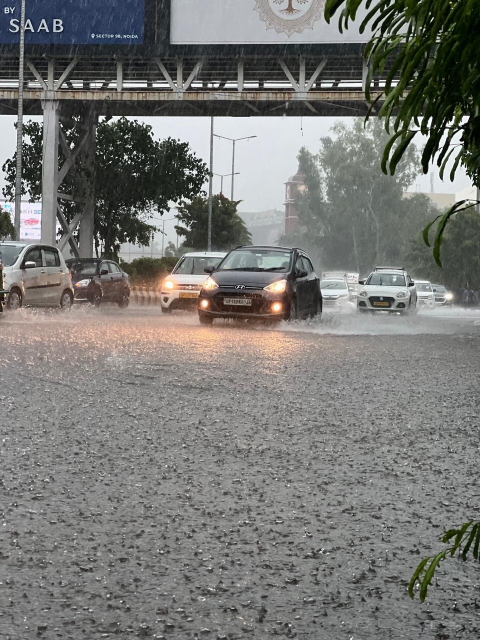 Rain