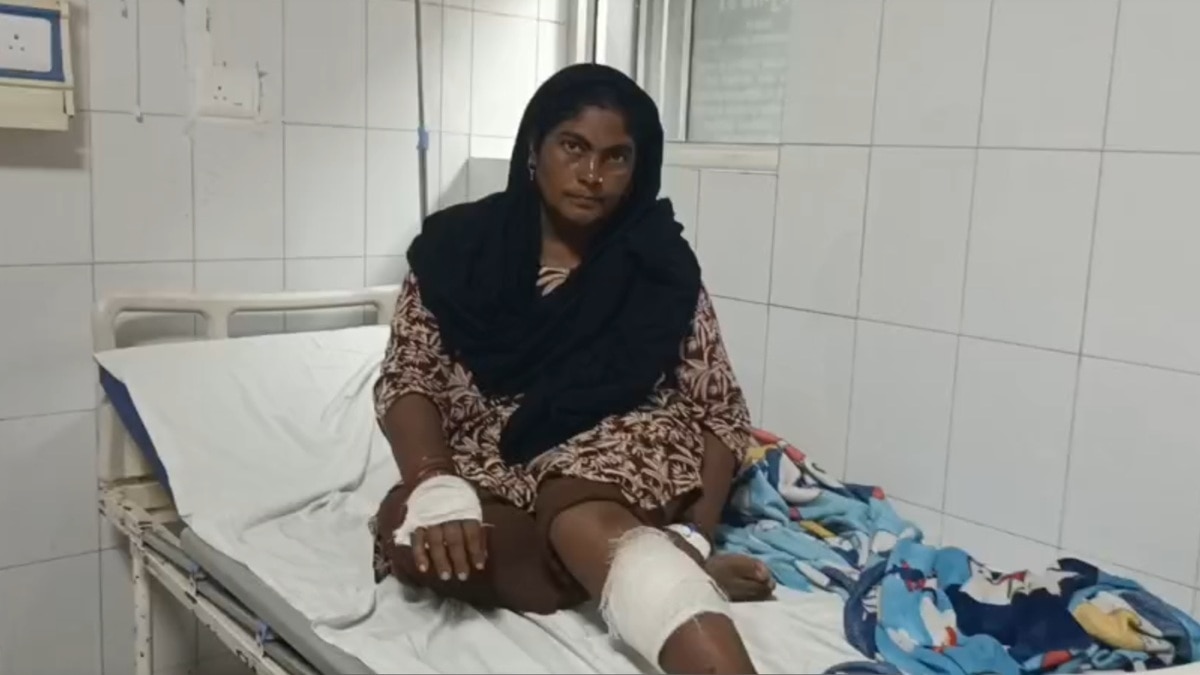 पिटबुल कुत्तों ने मालकिन को बचाया