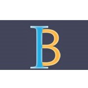 IB Infotech Enterprises Ltd