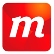 Majestic Research Services & Solutions Ltd