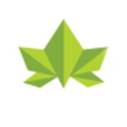 Maplle Infraprojects Ltd