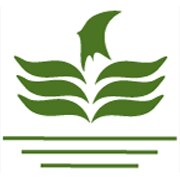 Morarka Finance Ltd