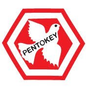 Pentokey Organy (India) Ltd