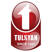 Tulsyan NEC Ltd