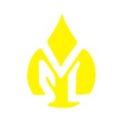 Vijay Solvex Ltd